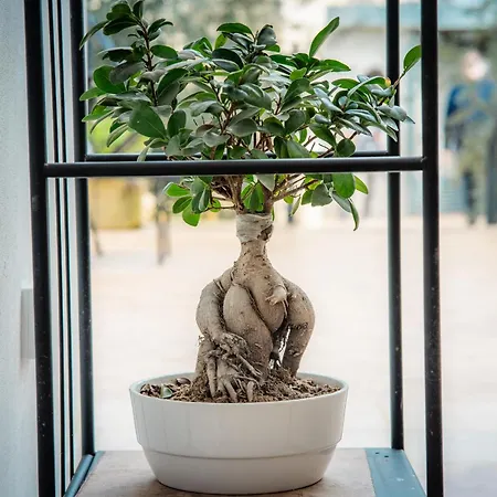 Appartement Dimora Carafa Lecce