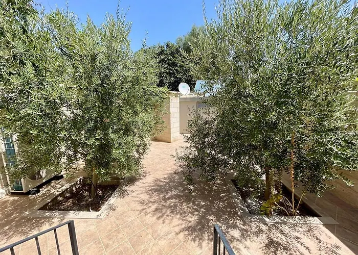 דירה Dimora Carafa לצ'ה