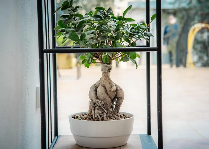 דירה Dimora Carafa לצ'ה